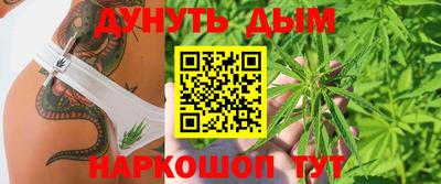 не бодяженный Гай