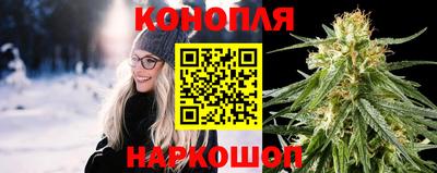 дмт Гатчина