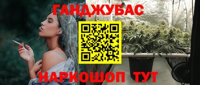 не бодяженный Гай