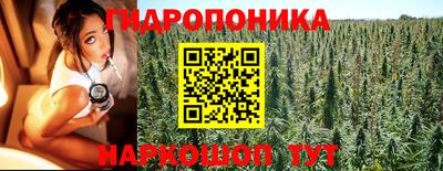 не бодяженный Гай