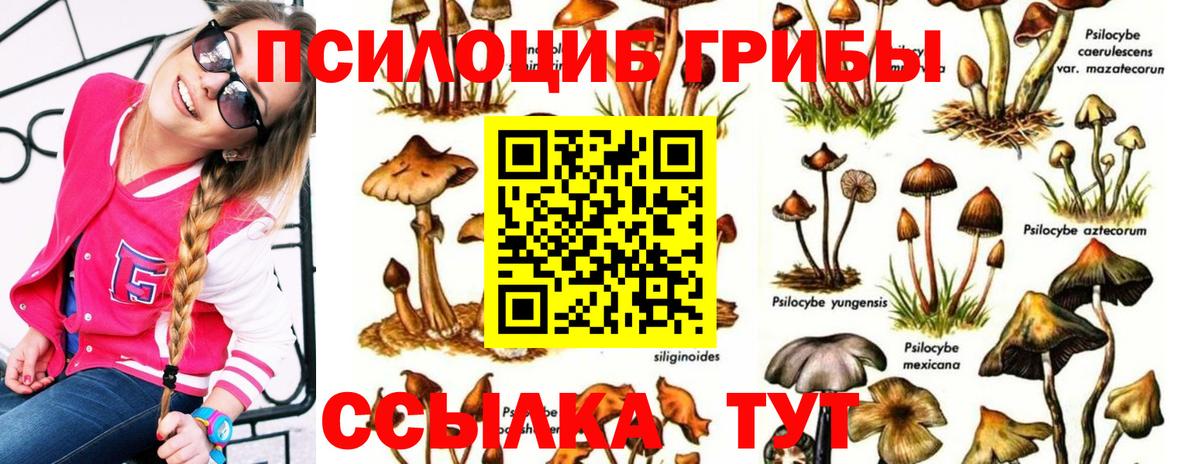 Всеволожск  Псилоцибиновые грибы прущие грибы  Псилоцибиновые грибы ЛСД  Вход с VPN 